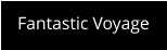 Fantastic Voyage