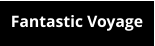 Fantastic Voyage