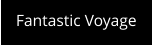 Fantastic Voyage