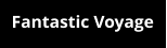 Fantastic Voyage