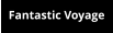 Fantastic Voyage