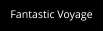 Fantastic Voyage