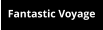 Fantastic Voyage