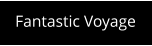 Fantastic Voyage