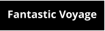 Fantastic Voyage