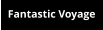 Fantastic Voyage