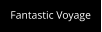 Fantastic Voyage